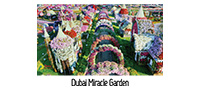 Dubai Garden
