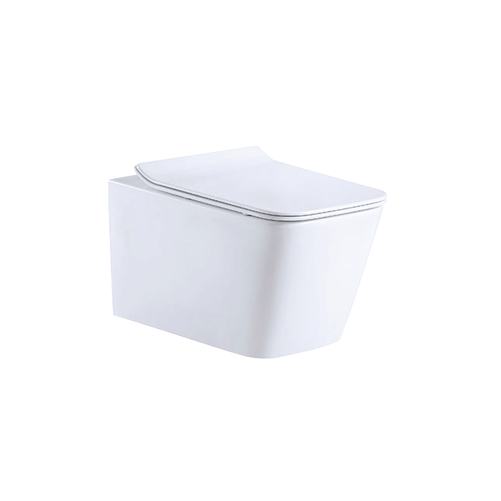 WALL HUNG RIMLESS TOILET