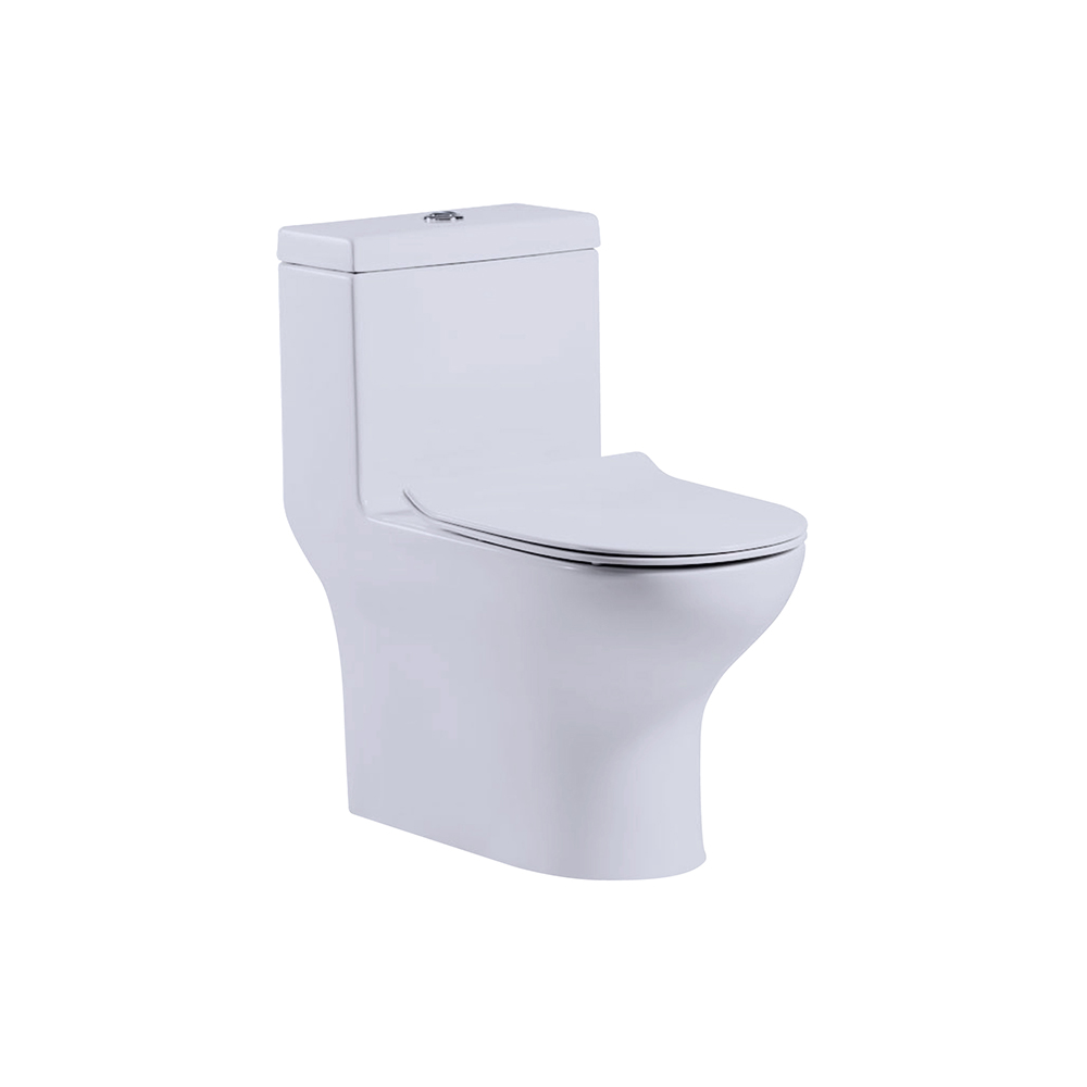 ONE-PIECE TOILET(RIMLESS TYPE)